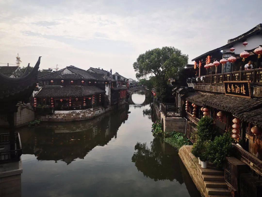 掉头发买哪种洗发水?药妆店必买好用单品